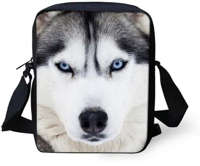 Produktbild von Kindertaschen-Messenger – Klein und praktisch für Schule und Reisen