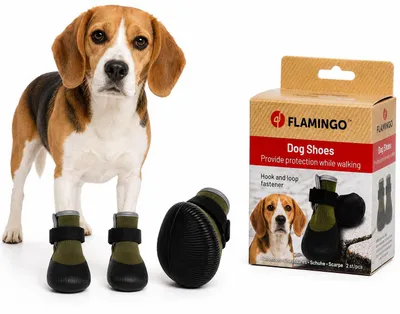 Obrázek produktu pro Flamingo psí boty Magna zelené - 2 kusy, velikost: L