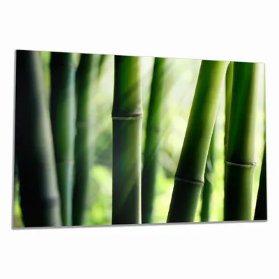 Produktbild von Wallario Herdabdeckplatte aus Glas, Größe 80 x 52 cm 1-teilig, Motiv Bambuswald und Sonnenstrahlen