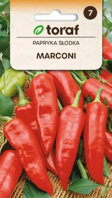 Obrázek produktu pro Sladká červená paprika MARCONI semena 343 Toraf