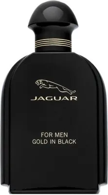 Image de Jaguar For Men Gold in Black Eau de Toilette pour hommes 100 ml