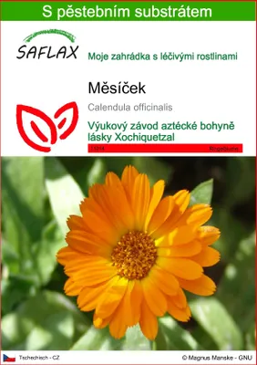 Obrázek produktu pro SAFLAX - měsíček - Calendula officinalis - 50 Semena - S pěstebním substrátem bez klíčků