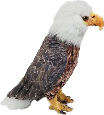 Produktbild von Plüschtier Adler 23 cm Weißkopfseeadler Stofftiere Kuscheltiere Vogel Vögel Falknerei