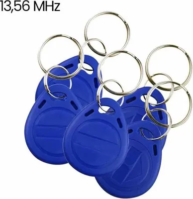 Image de lot de 10 porte-clés RFID pour clés codées 13,56 MHz HD-RKF22