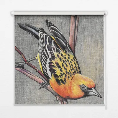 Produktbild von Seitenzug-Rollo Fensterrollo Jalousie - Thermo-Rollo Verdunkelungsrollo - 70x180 cm - Vogel auf einem Zweig