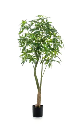 Produktbild von Künstliche Pflanze - Pachira Aquatica - Geldbaum