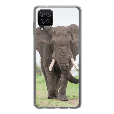 Produktbild von MuchoWow® Handyhülle Schutzhülle Hülle für Samsung Galaxy A12 Elefant - Tiere - Gras - Natur Silikon Softcase Handy Hülle - Bild