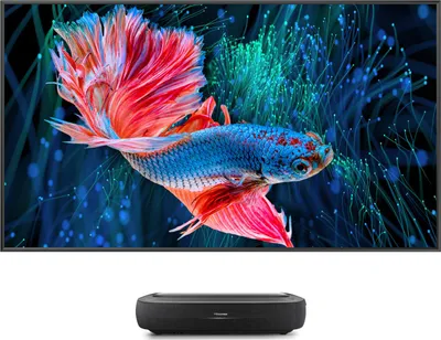 A Hisense laser TV projector is shown in front of a large screen displaying a vibrant image of a betta fish.