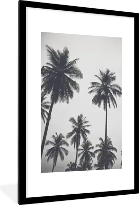 Produktbild von MuchoWow® Gerahmtes Poster Palme - Tropisch - Natur 60x90 cm - Poster mit Schwarzem Bilderrahmen Wandposter Rahmen Foto Bilder - Dekoration - Wandposter Wohnzimmer - Hochwertig