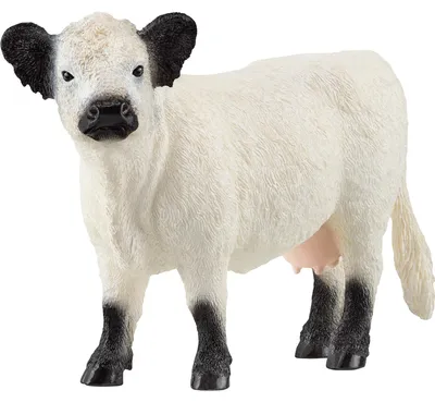Immagine prodotto di Schleich WIP 13960-BLANCA in White color size Talla unica