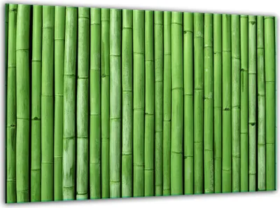 Image de Plaques de recouvrement en verre pour cuisinière Planche à découper universelle 30x22cm bambou