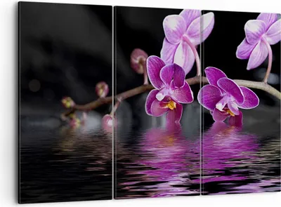 Produktbild von Bild auf Leinwand - Leinwandbild - Asien exotisch orchidee blume - 105x70cm - Wand Bild - Wanddeko - Leinwanddruck - Bilder - Kunstdruck - Wanddekoration - Leinwand bilder - Wandkunst - CE105x70-2312