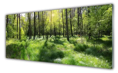 Immagine prodotto di Stampe su vetro acrilico, dimensioni 125x50 cm, decorazione da parete, stampa raffigurante un paesaggio boschivo e naturale