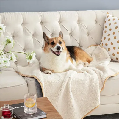 Produktbild von BESTCOVERS 100% Wasserdicht Doppelseitig Hundedecke Waschbar Hundebett Hundematte Haustier Decke Super Softe Warme und Weiche Decke für Hundedecke Katzendecke Tier Schlafdeck Überwurf für Hundebett Sofa und Couch 150X200cm BEIGE