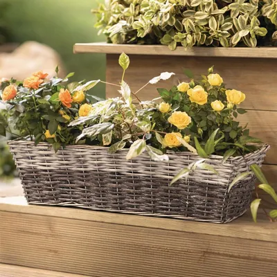 Produktbild von Balkon Blumenkasten "Grey" aus Weide, grau, Pflanzkasten 55 cm lang, Balkonkasten, Pflanzgefäß für Drinnen & Draußen