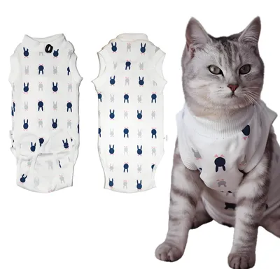 Imagen del producto de Collarín de recuperación para gatos - Ajustable - Blanco - Talla M