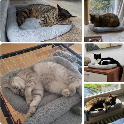 Produktbild von Weiches Katzenbett und Hundebett - Plüsch-Wärmematte für kleine Haustiere - 42 cm x 28 cm - Grau