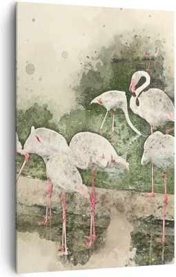 Produktbild von Bild auf Leinwand - Leinwandbild - Einteilig - Flamingo Vogel Wasser - 80x120cm - Wand Bild - Wanddeko - Wandbilder - Leinwanddruck - Wanddekoration - Leinwand bilder - Wandbild - PA80x120-3462