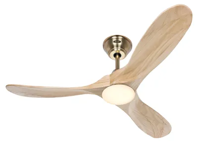 Immagine prodotto di ECO GENUINO L 122, Ventilatore con Luce, CasaFan