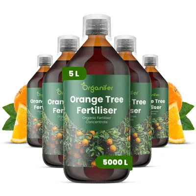 Produktbild von Orangenbaum Flüssigdünger 5x1L – 2-1-8 NPK – Flüssig-Pflanzendünger für Orangenbäume – Organifer
