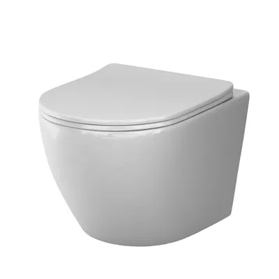 A white wall-mounted toilet is shown against a white background.