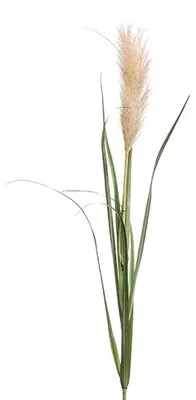 Produktbild von Pampasgras braun 120 cm Kunstblume Kunstseide Emerald