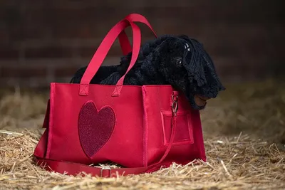 Produktbild von HKM Transporttasche Cuddle Pony
