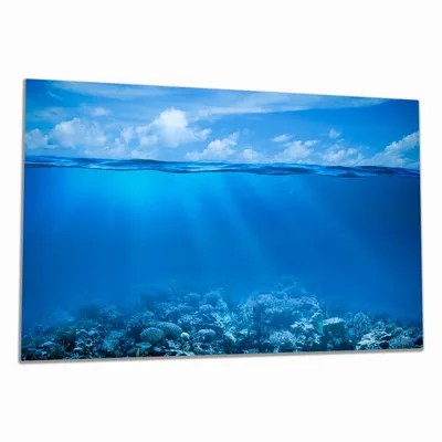 Produktbild von Wallario Herdabdeckplatte aus Glas, Größe 80 x 52 cm 1-teilig, Motiv Unterwasserwelt Meer