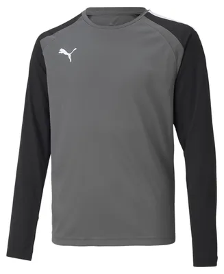 Produktbild von Puma Teampacer Tw-Trikot Langarm Kinder - Grau / Schwarz