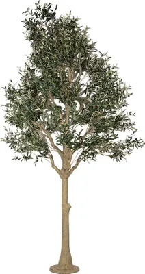 Obrázok produktu pre Clayre & Eef Umelý olivovník 320 cm Zelený plast