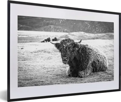 Produktbild von MuchoWow® Gerahmtes Poster Schottischer Highlander - Berg - Tiere 60x40 cm - Poster mit Schwarzem Bilderrahmen Wandposter Rahmen Foto Bilder - Schlafzimmer - Plakat in Rahmen - Drucken