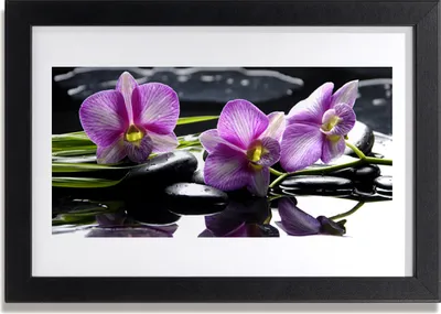 Produktbild von Bild 30x20 MDF-Rahmen Wandkunst Blume Orchidee Pflanze