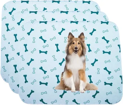 Imagen del producto de Alfombrilla de entrenamiento lavable, tamaño XL (75 x 89 cm), impermeable, para perros grandes