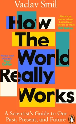 Produktbild von How the World Really Works