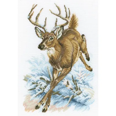 Image de RTO Kit de point de croix "cerf de forêt" M331, motif à compter, 22x33 cm