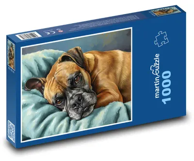Produktbild von Puzzle 1000 Ruhender Hund auf einem Kissen - martinpuzzle