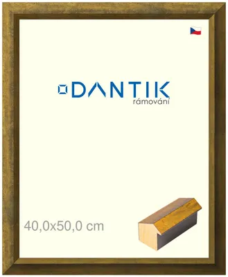 Zdjęcie produktu dla Ramka DANTIK 40x50 | Forgia Gold (Plexi Clear)
