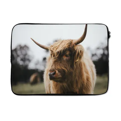 Produktbild von MuchoWow® Laptop Hülle 13 Zoll Schottischer Highlander - Tiere - Hörner Laptoptasche - Laptophülle - Sleeve - Rundumschutz