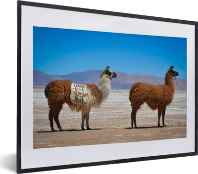 Produktbild von MuchoWow® MuchoWow® Gerahmtes Poster Lama - Wüste - Berge 40x30 cm - Poster mit zchwarzem Bilderrahmen - Bilderrahmen - Poster im Rahmen
