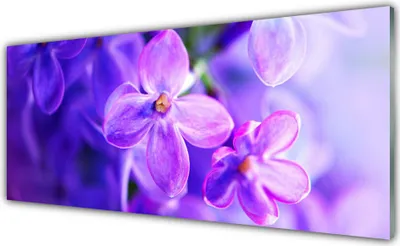 Produktbild von Acrylglasbilder 125x50 Wandbild Druck Blumen Pflanzen