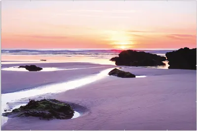 Produktbild von Wallario Wandbild Sonnenuntergang am einsamen Strand, Größe: 61 x 91,5 cm, Poster mit rahmenlosen Bildhalter