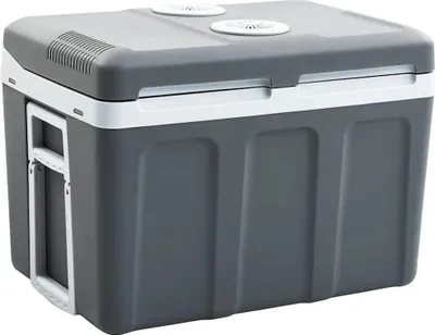 Image de Vidaxl Cool Box Thermoélectrique tragbar 12 V 230 V E 40 l