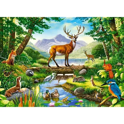 Zdjęcie produktu dla CASTORLAND Puzzle Harmony of the Forest 300 elementów