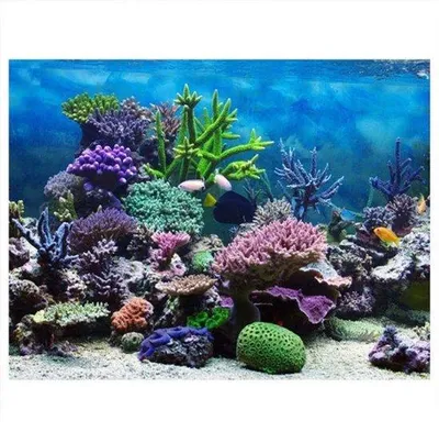 Produktbild von Aquariumposter - PVC-Aquariumbild - farbige - dekorative Sticker - für Aquarien geeignet