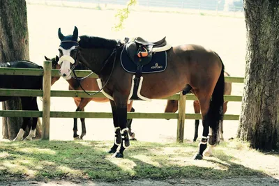 Immagine prodotto di Kentucky Horsewear martingala / protezione pettorale in finta pelliccia