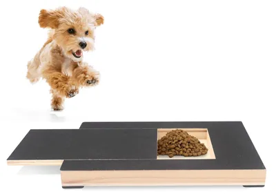 Hunde-Nagelkratzbrett mit Leckerli-Box, Holz, 35x25x3,1 cm (L)