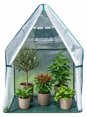 Produktbild von Westmann Überwinterungszelt & Foliengewächshaus Chili Weiß 120x120x180 cm