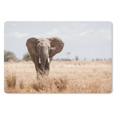 Produktbild von MuchoWow® Mauspad Mousepad Elefant - Natur - Tiere - Porträt 27x18 cm - Mousepads - Maus Mat - Pad - Mausunterlage - Büroartikel - Desk Matten