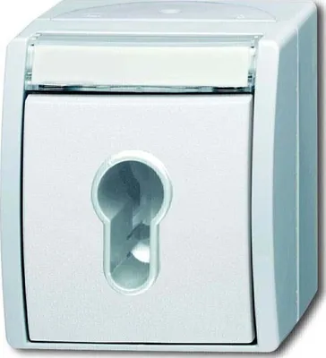Zdjęcie produktu dla Przełącznik kluczykowy Busch-Jaeger 2733 SLW-54 2CKA001101A0925