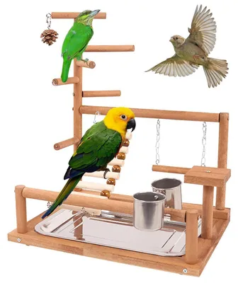 Produktbild von Vogelspielplatz Naturholz 37x26x44cm mit 2 Futternäpfen für Wellensittiche & Papageien